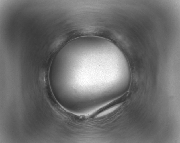 X0000067000115200603241352
