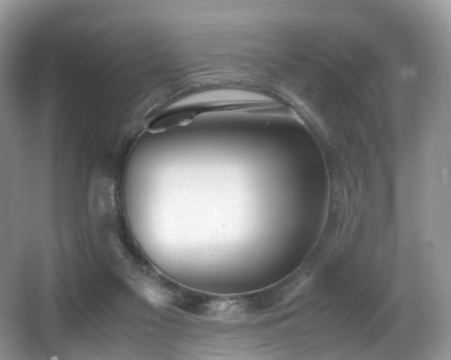 X0000067000117200603241352