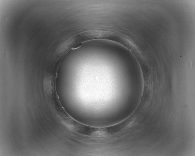 X0000067000119200603241352