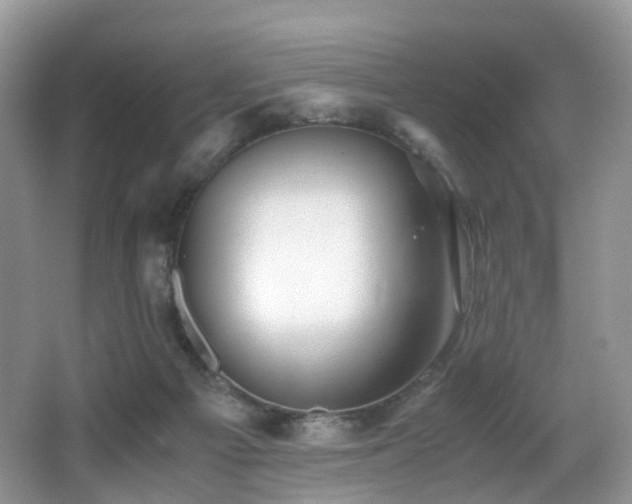 X0000067000121200603241352