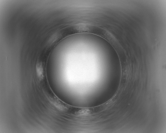 X0000067000124200603241352