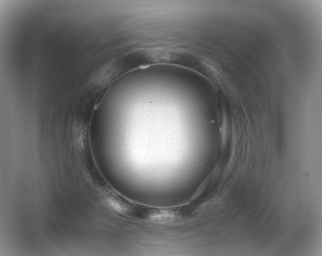 X0000067000125200603241352