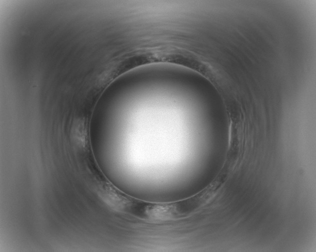 X0000067000129200603241352
