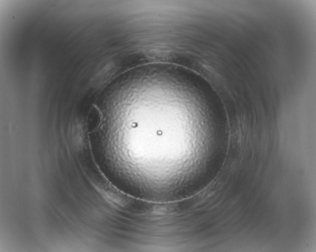 X0000067000130200603241352