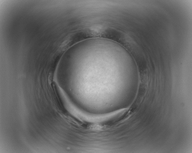 X0000067000131200603241352