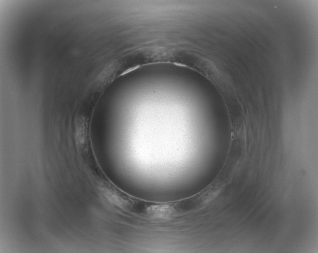 X0000067000133200603241352