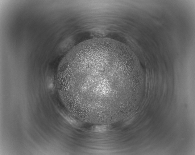 X0000067000134200603241352