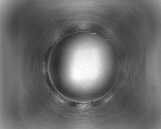 X0000067000135200603241352