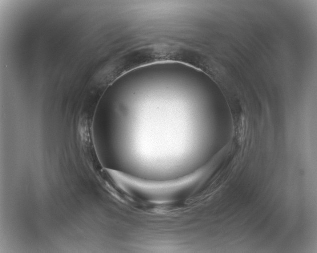 X0000067000137200603241352