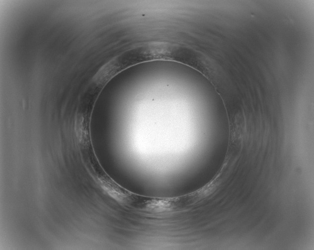 X0000067000140200603241352