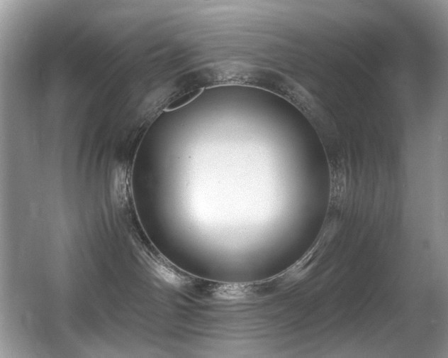 X0000067000142200603241352