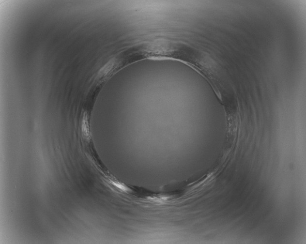 X0000067000143200603241352