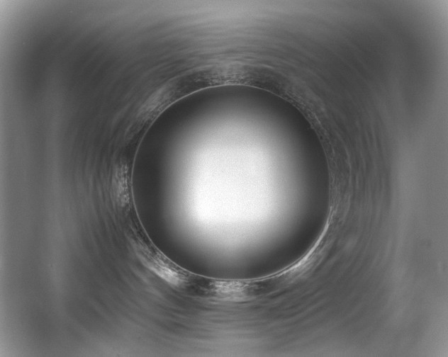 X0000067000144200603241352
