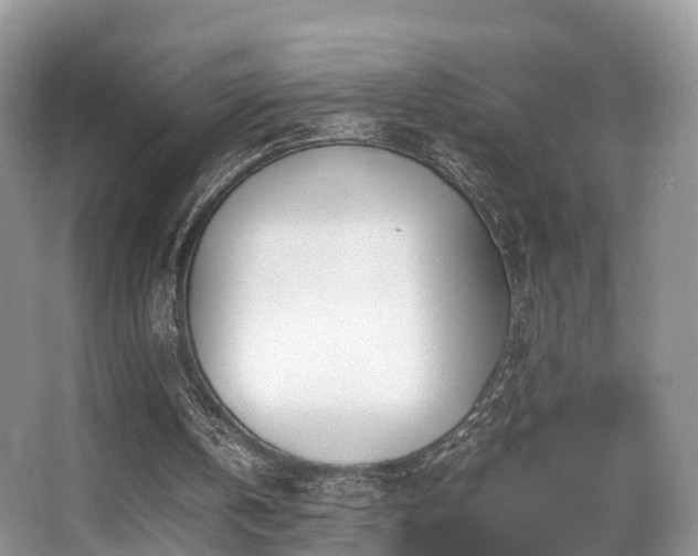 X0000067000146200603241351