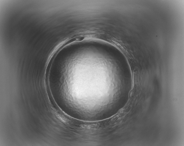 X0000067000147200603241351