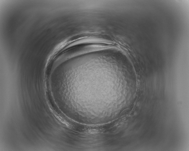 X0000067000149200603241351