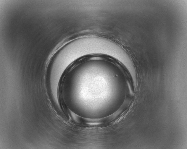 X0000067000150200603241351