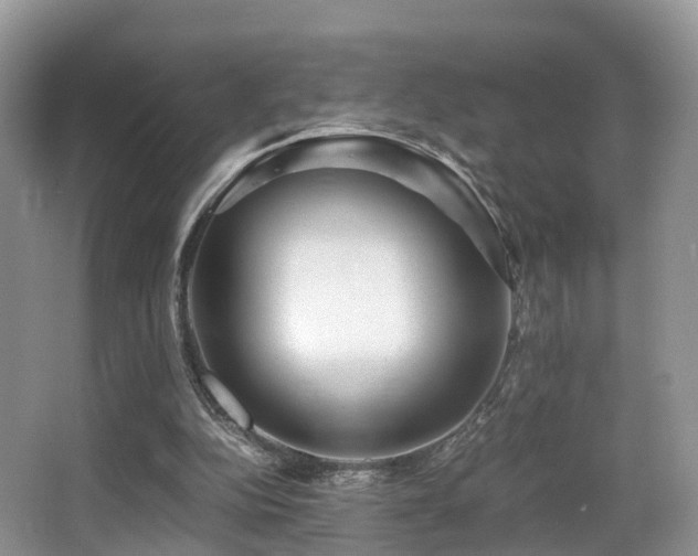 X0000067000152200603241351