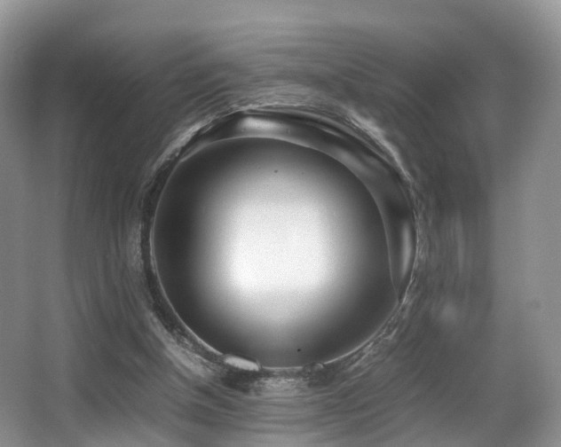 X0000067000154200603241351