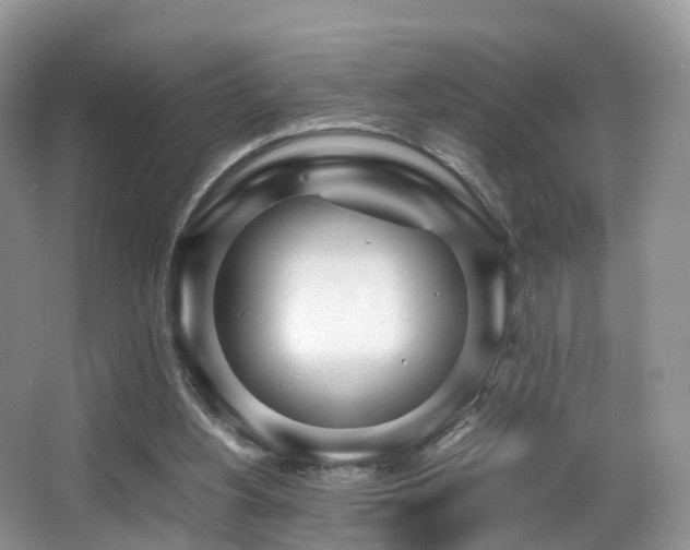 X0000067000156200603241351