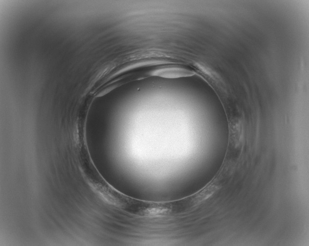 X0000067000158200603241351