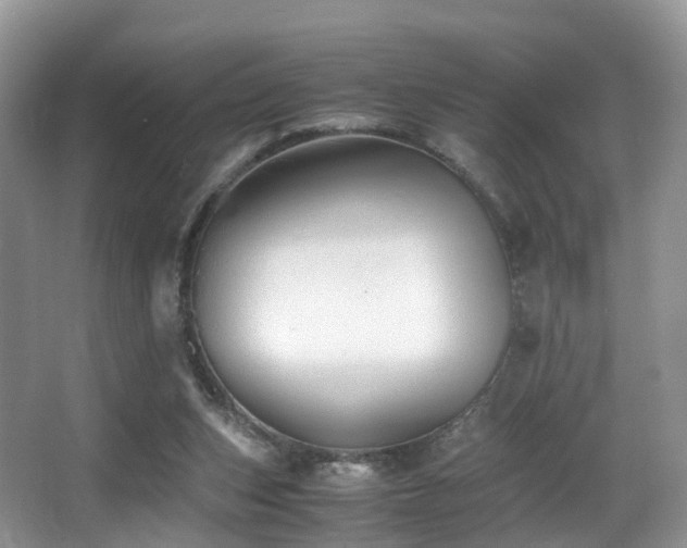 X0000067000159200603241351