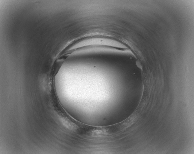 X0000067000160200603241351