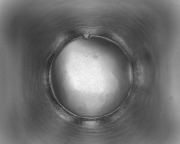 X0000067000161200603241351