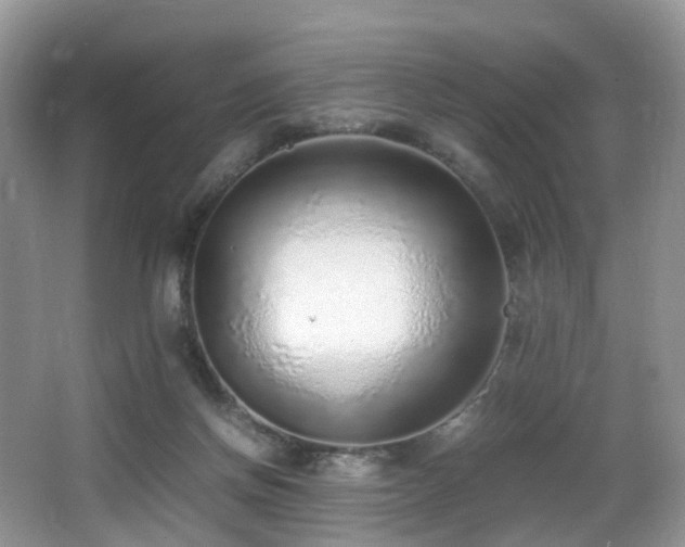 X0000067000166200603241351