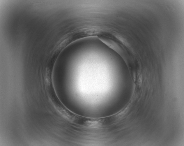 X0000067000170200603241351