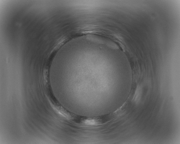 X0000067000171200603241351