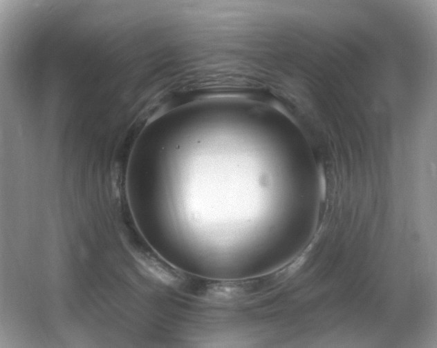 X0000067000174200603241351