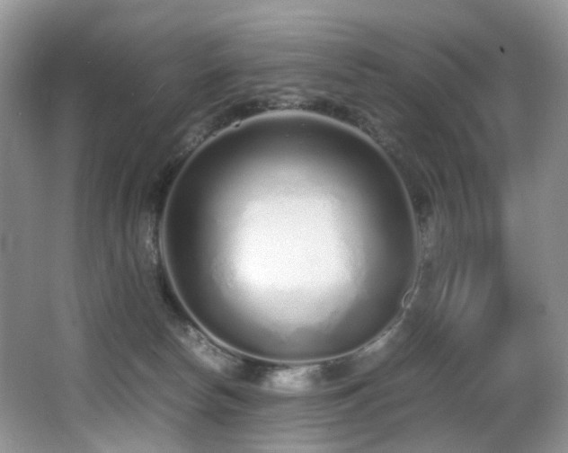 X0000067000178200603241351