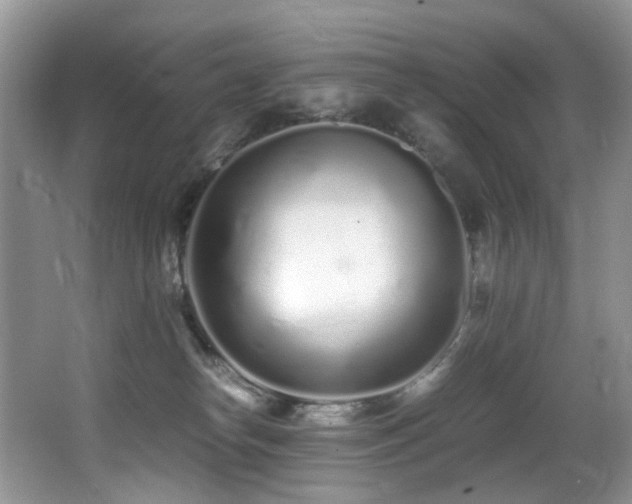 X0000067000182200603241351