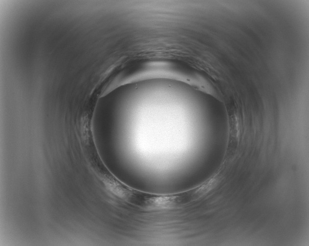 X0000067000184200603241351