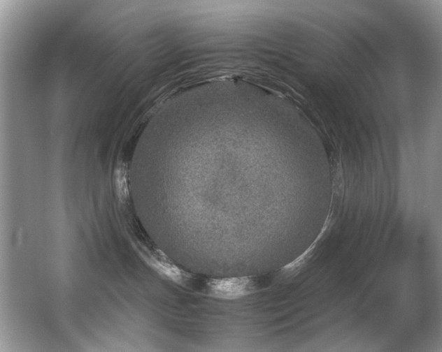 X0000067000191200603241352