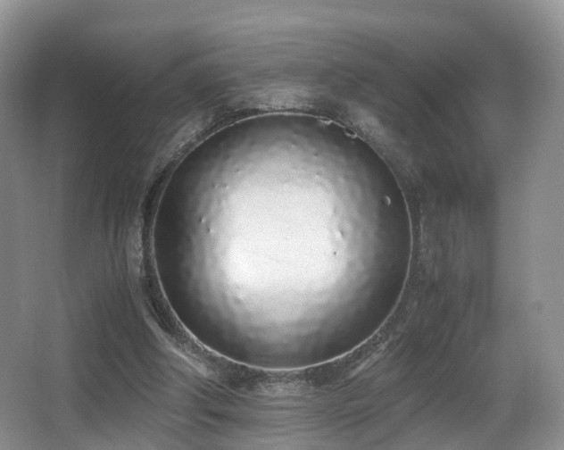 X0000067000202200603241351