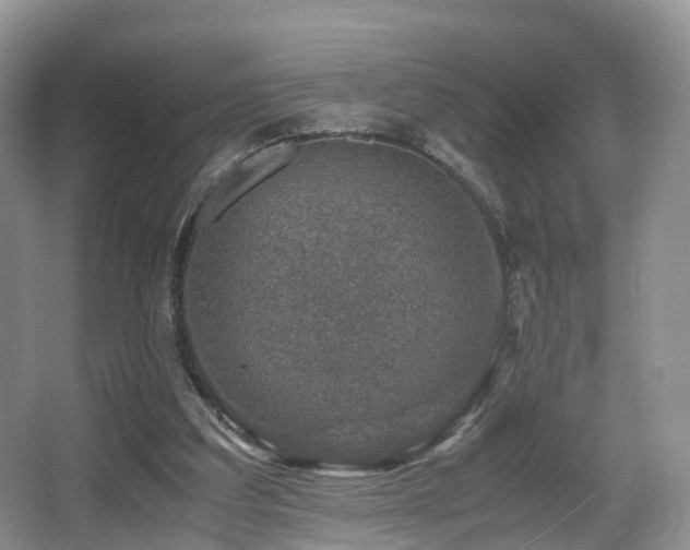 X0000067000203200603241351