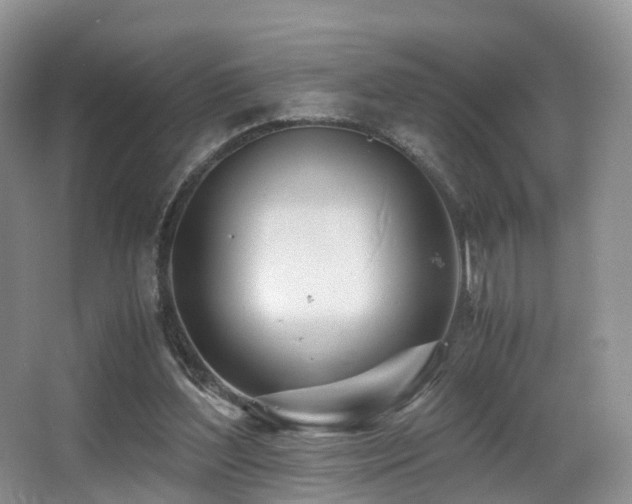 X0000067000204200603241351