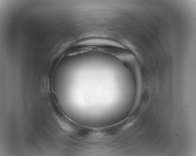 X0000067000205200603241351