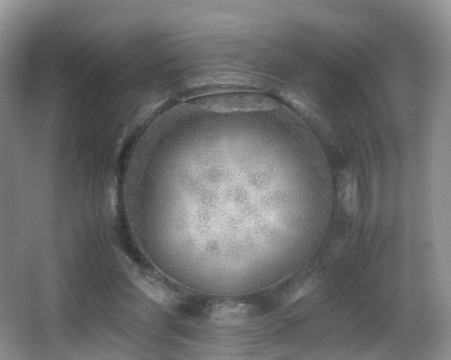 X0000067000206200603241351