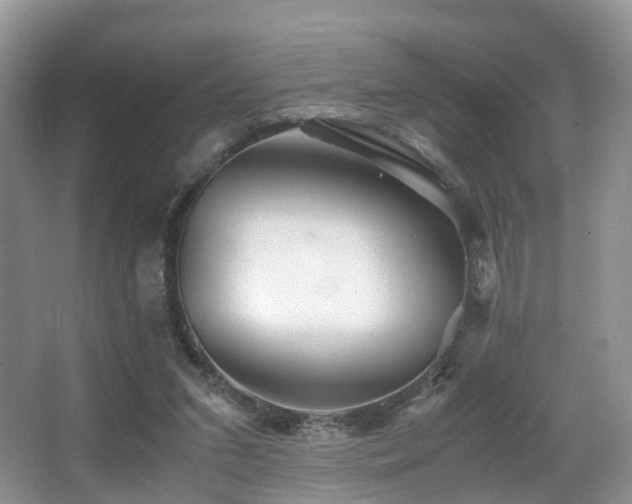 X0000067000207200603241351
