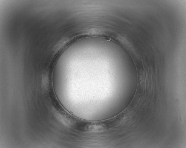 X0000067000208200603241351