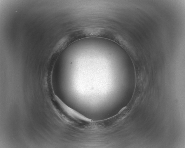 X0000067000209200603241351