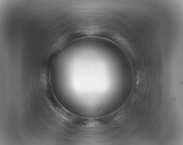 X0000067000210200603241351
