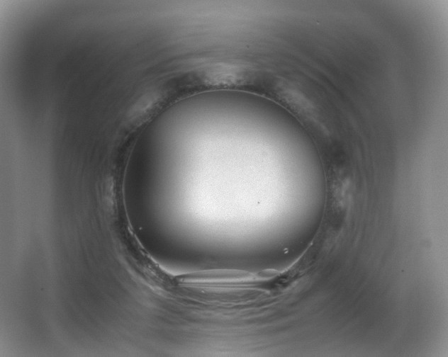 X0000067000211200603241350