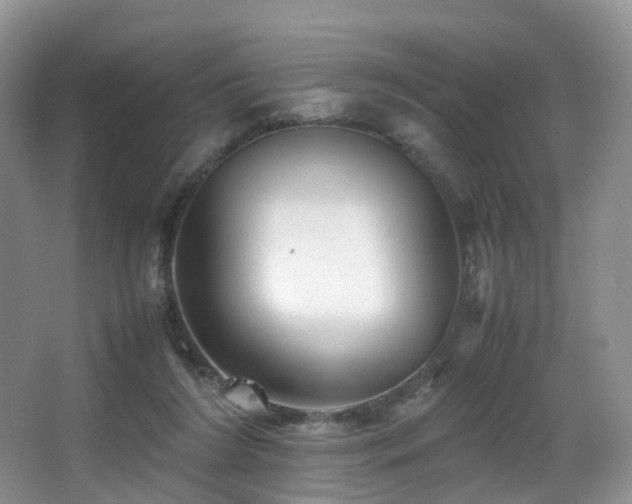X0000067000212200603241350