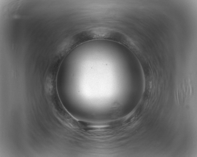 X0000067000215200603241350