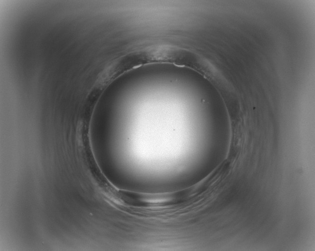 X0000067000217200603241350