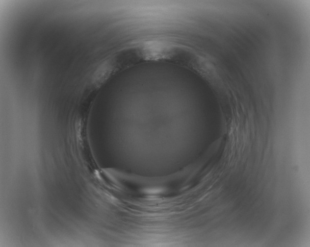 X0000067000219200603241350